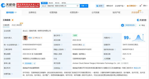 金山云旗下海南洋浦信息科技增资至6亿美元，强化信息系统集成服务布局